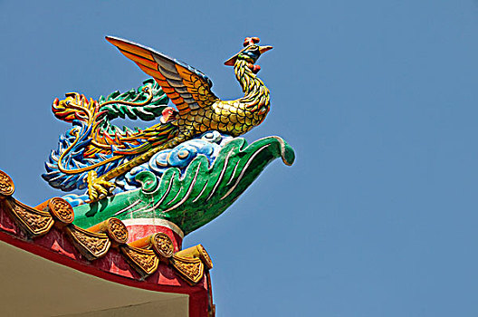 孔雀,象征,喜爱,高,漂亮,中国寺庙,曼谷,泰国,亚洲