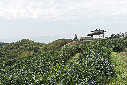 杭州径山禅茶