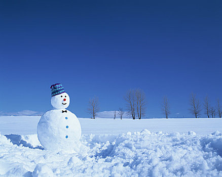 雪人,雪原