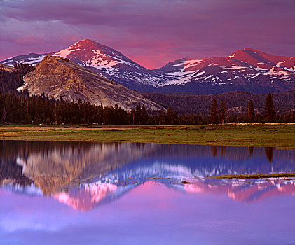 美国,加利福尼亚,优胜美地国家公园,圆顶,反射,洪水,河,画廊
