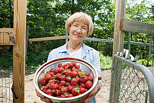 女人,拿着,滤器,草莓