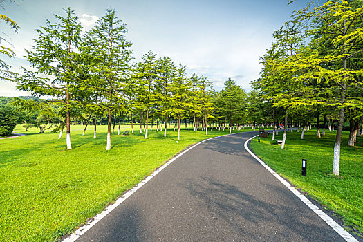 公园绿地与道路