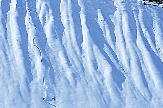 男人,滑雪板,边远地区,不列颠哥伦比亚省,加拿大