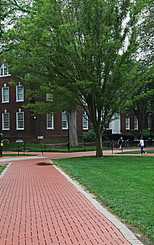 美国,特拉华,大学,university,delaware,校园,风景