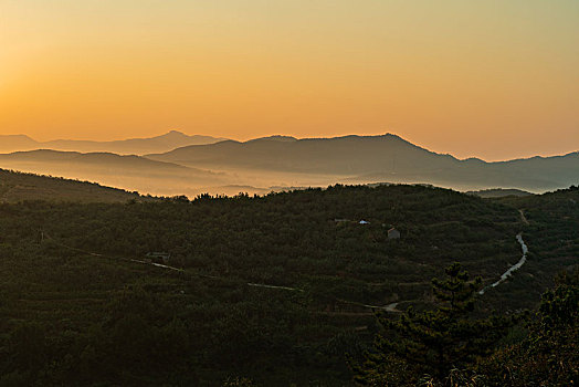 山东沂蒙山区的山村果园