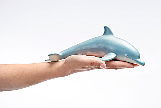 拿海豚的手
