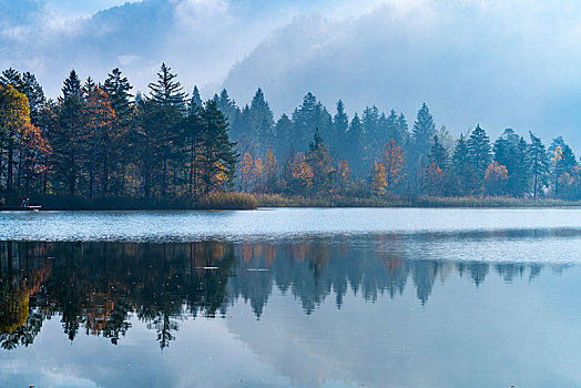晨雾,秋天,湖,巴伐利亚,德国,欧洲
