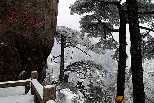 黄山迎客松