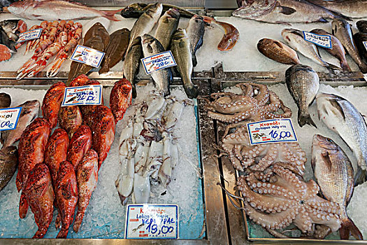 多样,鱼肉,海鲜,鱼市,科孚岛,城镇,爱奥尼亚群岛,希腊,欧洲
