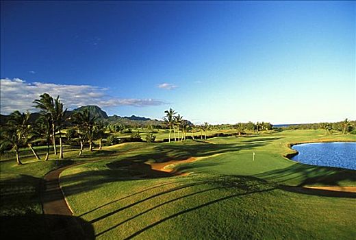 夏威夷,考艾岛,坡伊普,湾,高尔夫球场,手掌,影子,绿色,旗帜,远景,蓝天