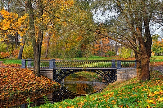 秋日风光,河,桥,圣凯瑟琳,公园