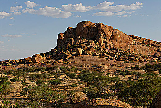 纳米比亚,花冈岩,大象