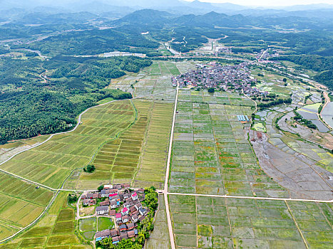 江西金溪,山村田园美