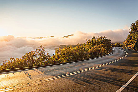 公路,山谷,雾气,日出,优胜美地国家公园,加利福尼亚,美国