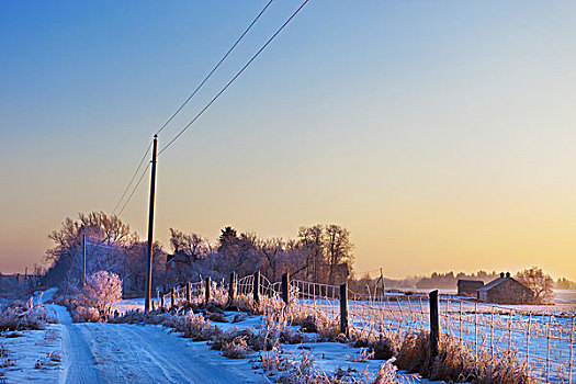 雪,霜,遮盖,乡村道路,农田,公共草地,艾伯塔省,加拿大