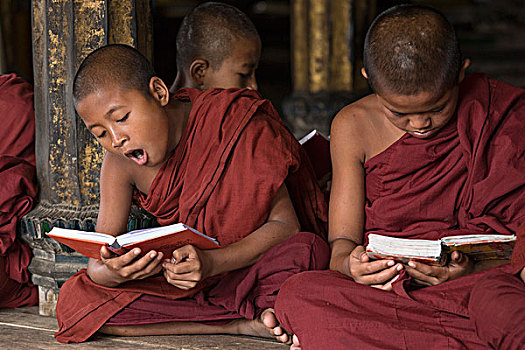 缅甸,年轻,僧侣,学习,室内,寺院