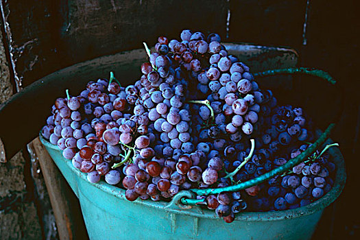 大,桶,紫葡萄