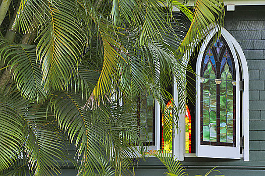 棕榈树,正面,教堂,考艾岛,夏威夷,美国