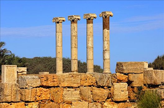 四个,古老,柱子,爱奥尼克柱式,首府,遗址,罗马,城市,莱普蒂斯马格纳,利比亚