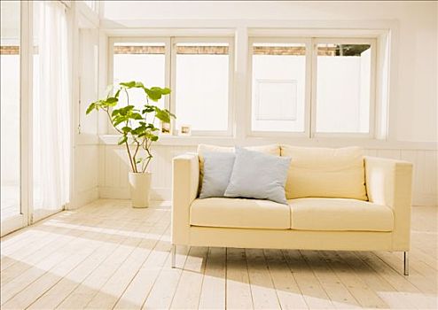 沙发,植物,木地板