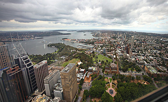 从悉尼塔上见到的悉尼局部城市建筑
