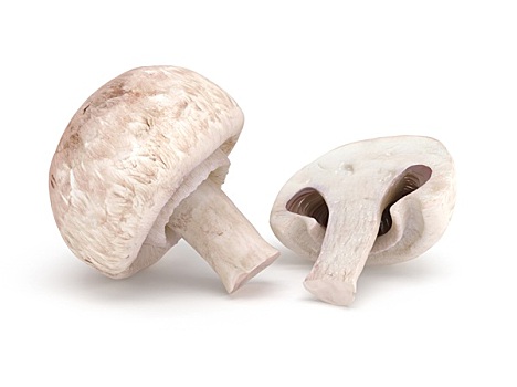 洋蘑菇