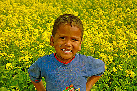 孟加拉人,孩子,芥末,地点,孟加拉,十二月,2007年