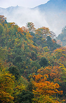 光雾山玉印台风光