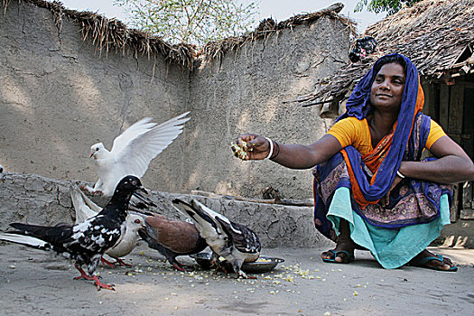 妻子,鸽子,安静,新娘,遥远,孟加拉,乡村,孙德尔本斯地区,人,紧握,文化遗产