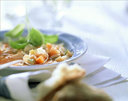 清淡,蔬菜汤,利古里亚,意大利