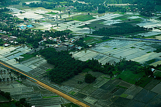 洪水,稻田,下雨,季节,靠近,雅加达,印度尼西亚,亚洲