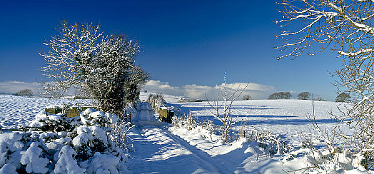 多纳格,爱尔兰,冬季风景,靠近,城堡