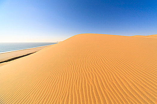 沙丘,风,大西洋,海洋,湾,纳米布沙漠,埃龙戈区,纳米比亚,南非