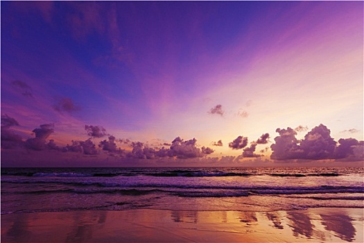 壮观,日落,上方,热带沙滩