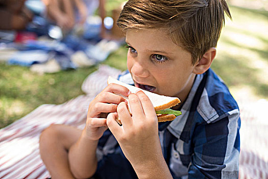 男孩,三明治,野餐,公园,晴天