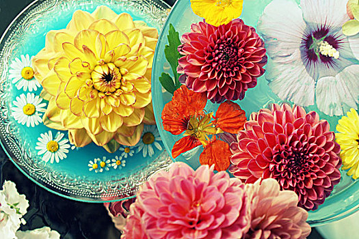 桌饰,色彩,花,水,碗