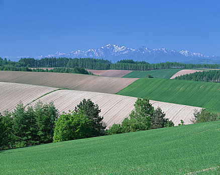 山,停留,雪,山脉