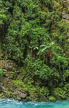 法国,比利牛斯山脉,巴斯克,峡谷