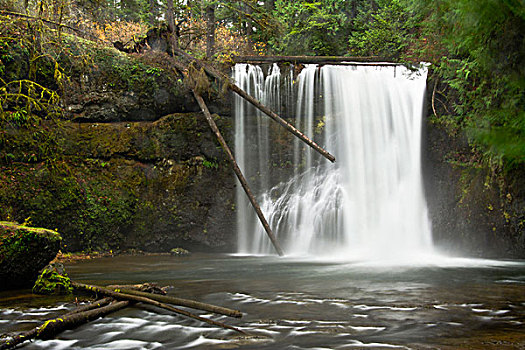 北方,瀑布,秋天,银,溪流,银色瀑布州立公园,俄勒冈,美国