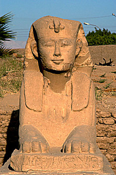 埃及艺术,卢克索神庙,狮身人面像,道路,埃及新王国,古老,底比斯,埃及