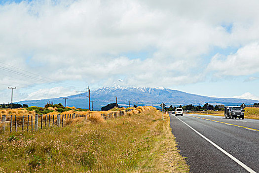 新西兰路