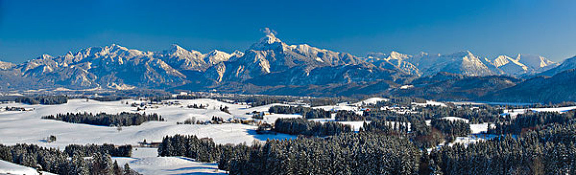全景,阿尔卑斯山,靠近,福森,巴伐利亚