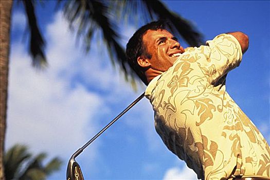夏威夷,打高尔夫,结束,晃动,蓝天,棕榈树,模糊,背景