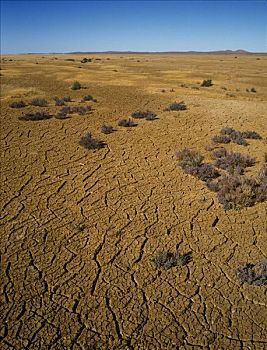 裂土,干燥,湖床,干旱,澳大利亚