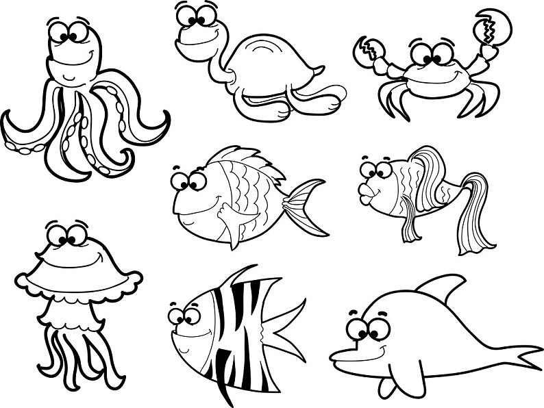 海鱼图片_海鱼高清图片_全景视觉