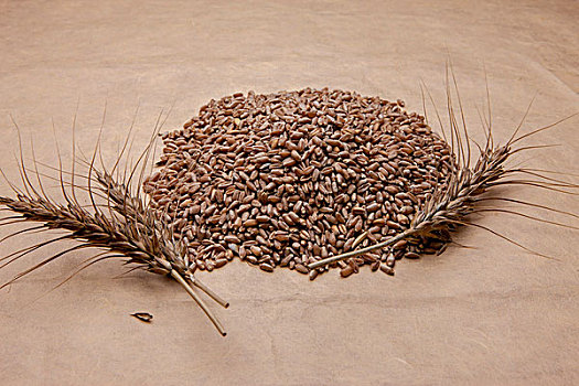 小麦,纸袋,特写,图像,堆,小麦作物,茎