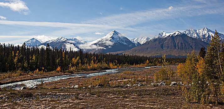 溪流,深秋,叶子,秋色,秋天,山峦,克卢恩国家公园,自然保护区,后面,育空地区,加拿大