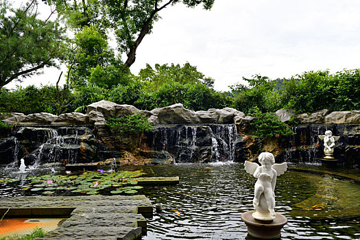 庭院水池