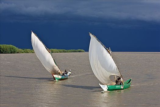 肯尼亚,地区,捕鱼者,帆船,捕鱼,维多利亚湖