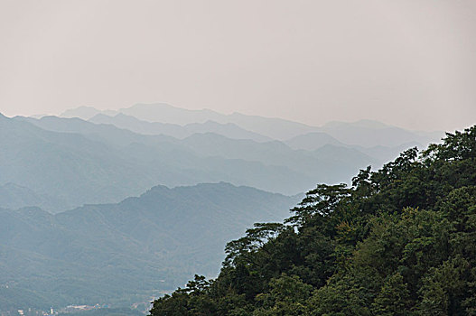 茂密的树林和隐现的山峰